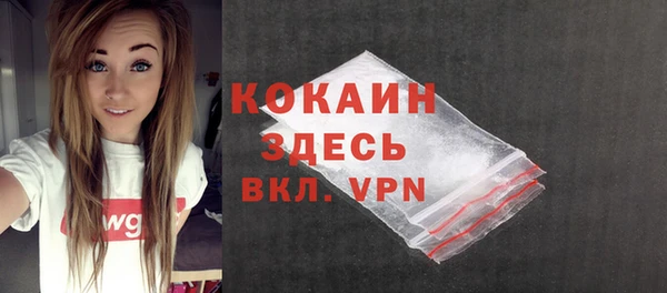 mdpv Дмитриев