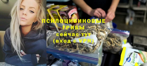 mdpv Дмитриев